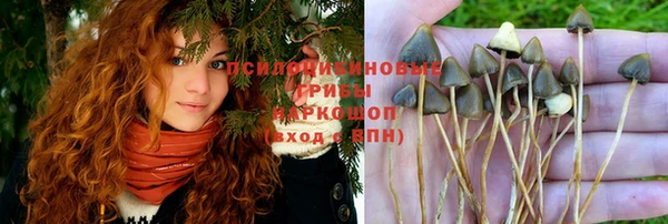 МДПВ Абаза