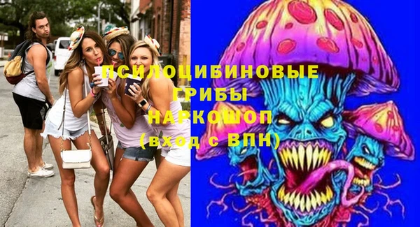 МДПВ Абаза