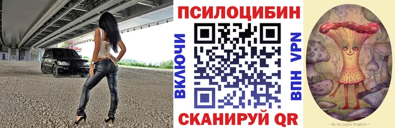 Купить закладки  Алагир  Псилоцибиновые грибы Cubensis 