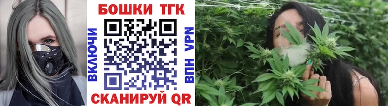 Бошки марихуана THC 21%  Купить закладки  Алагир 